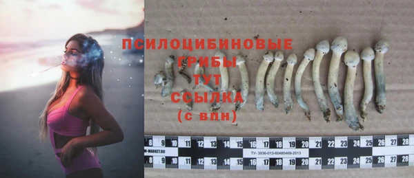 стафф Абаза