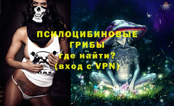 кокс Алексин